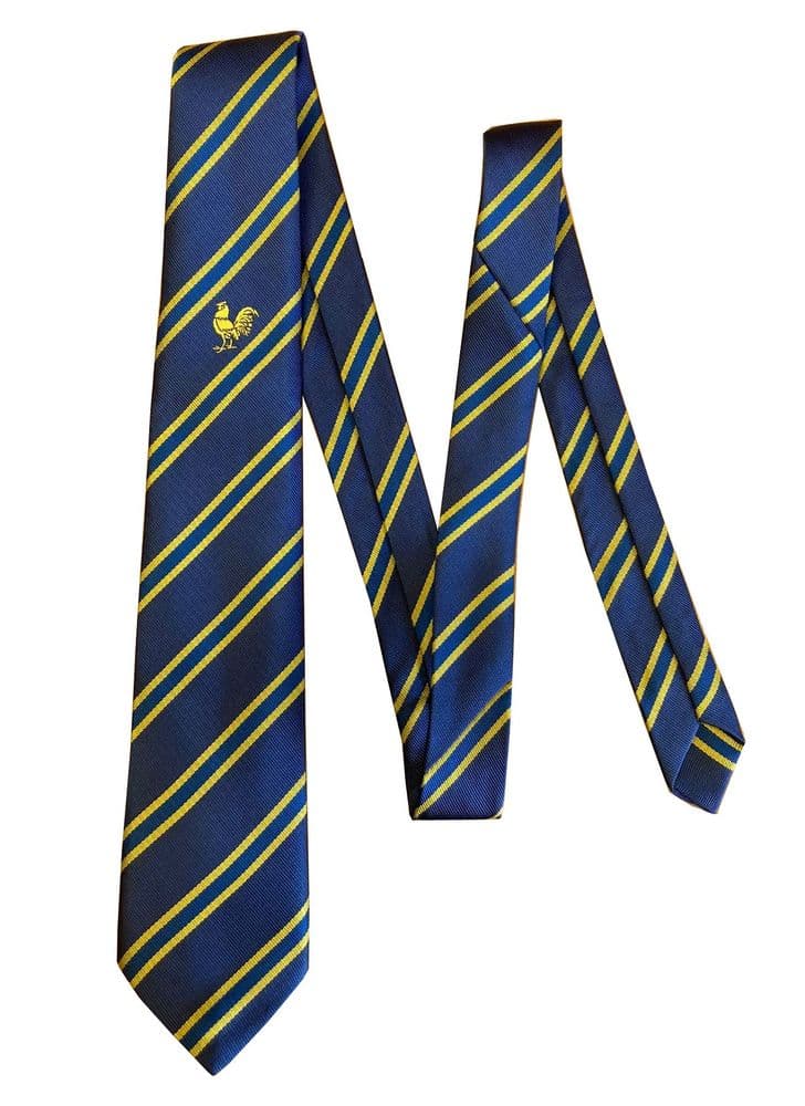 Custom School Uniform Ties